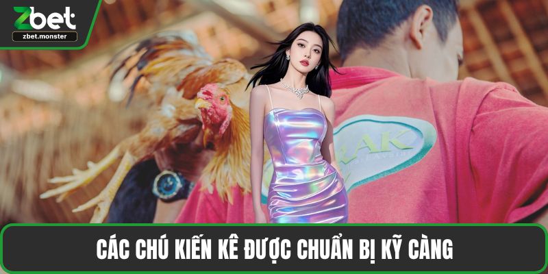 Các chú kiến kê được chuẩn bị kỹ càng